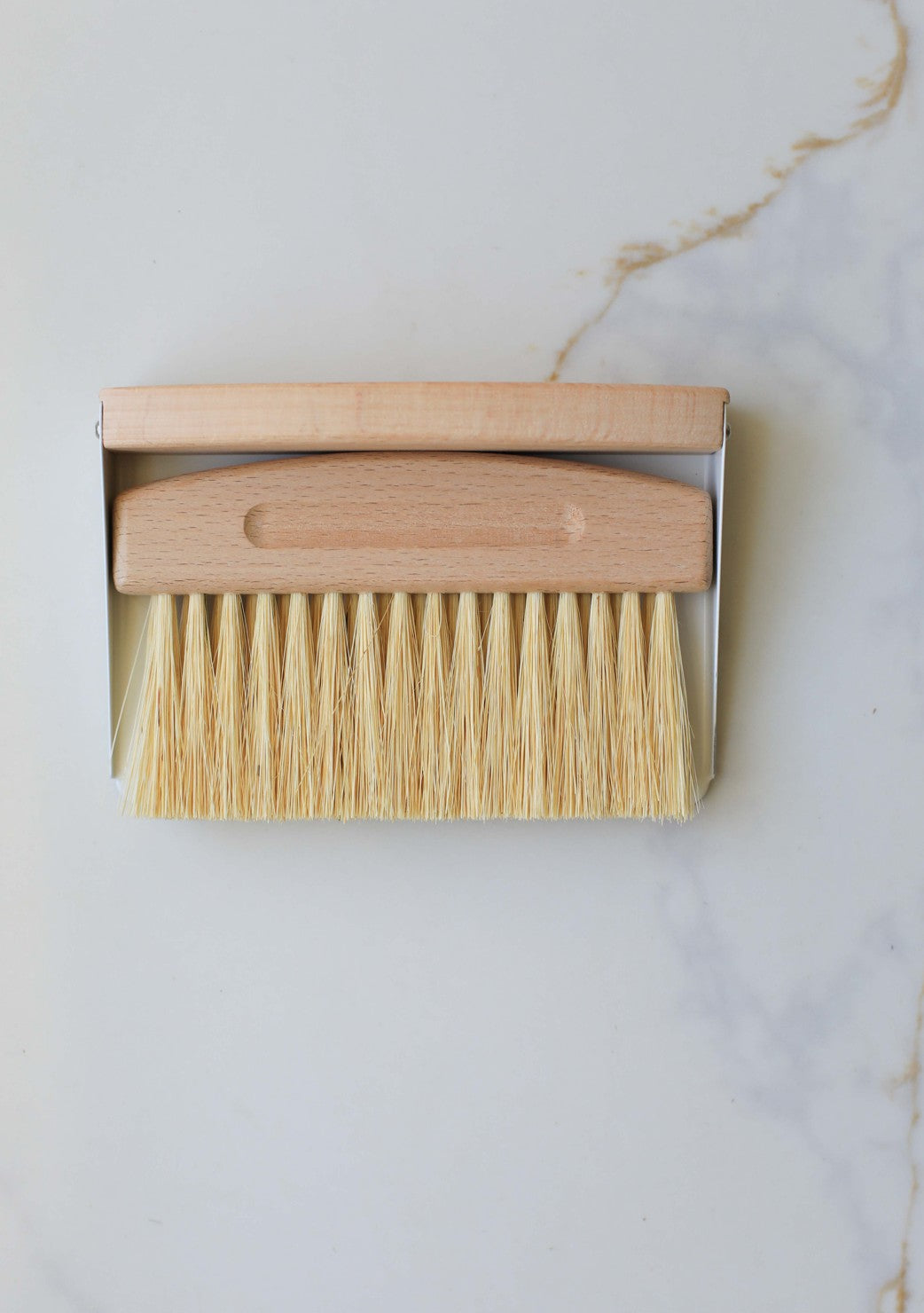 Mini Broom and Dustpan Set