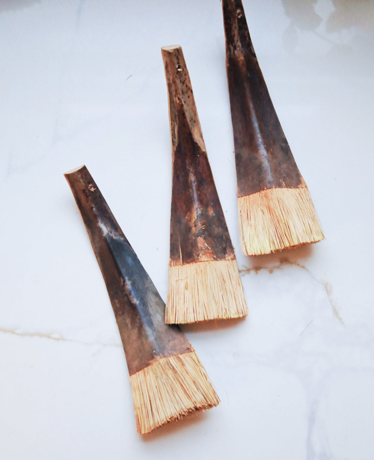 Coconut Palm Brush