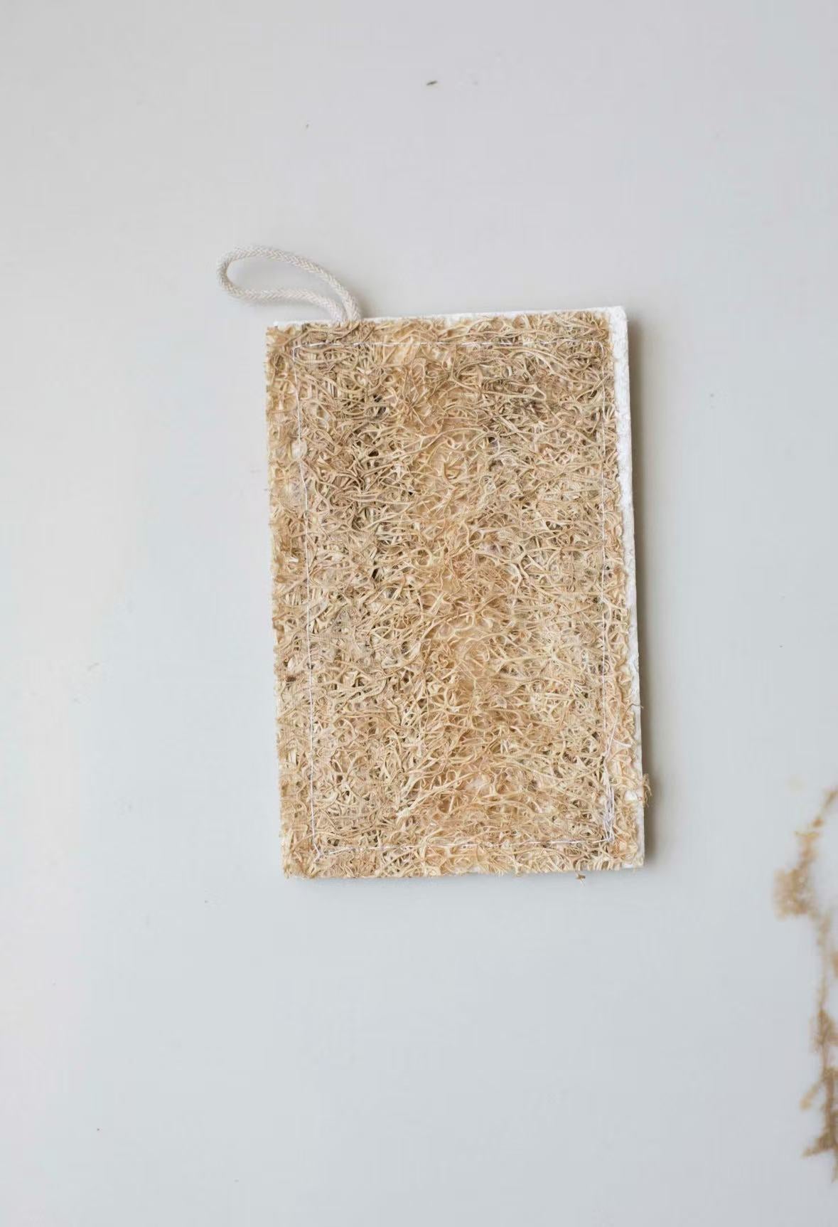 Loofah Dish Sponge