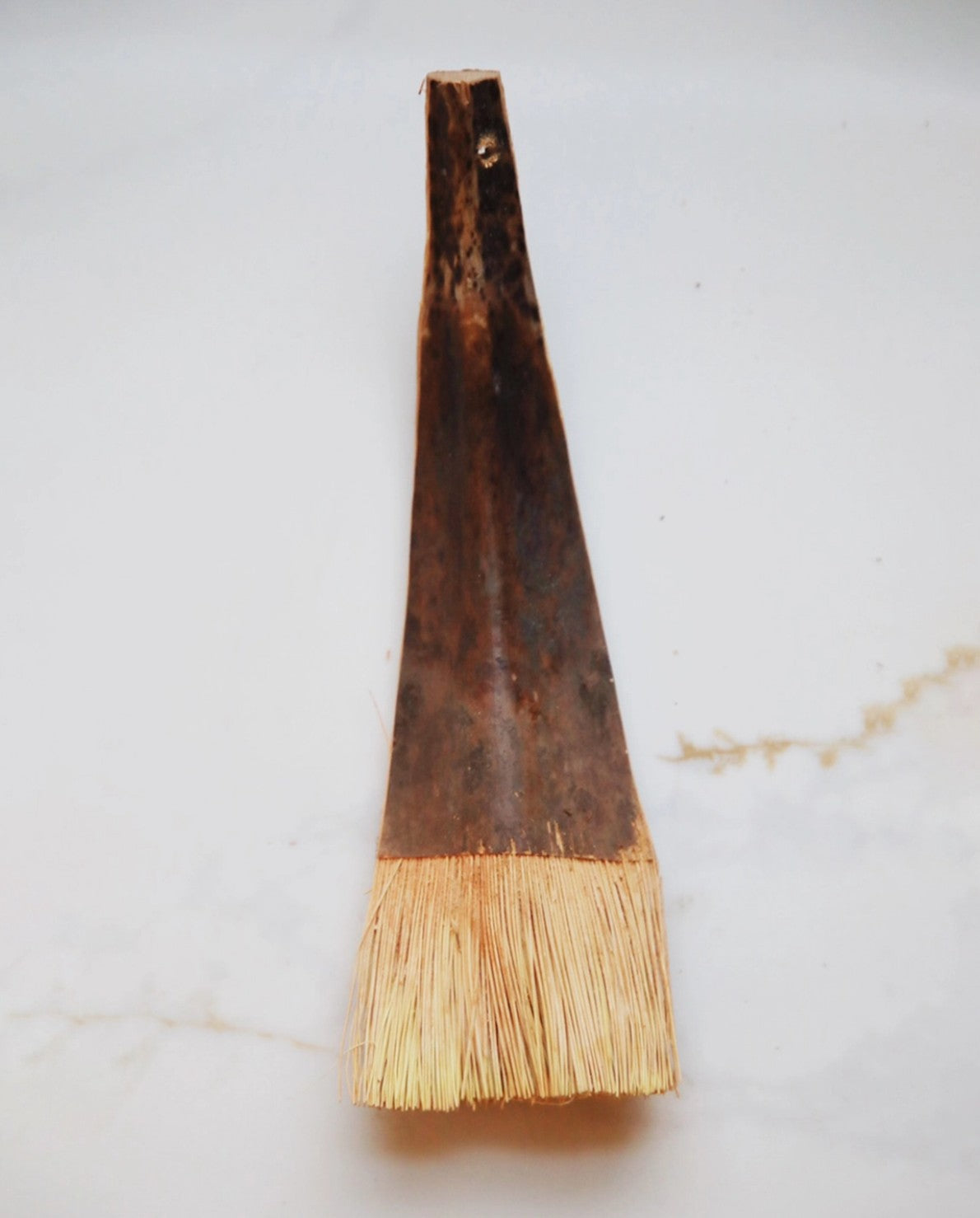 Coconut Palm Brush