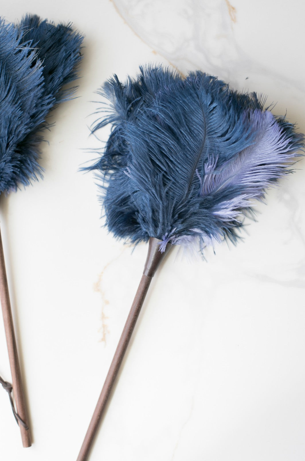 Blue Colored Feather Duster