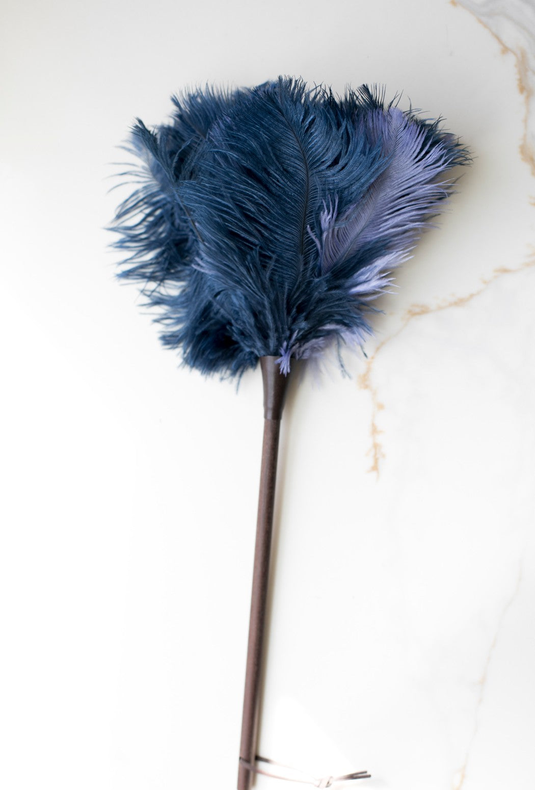 Blue Colored Feather Duster