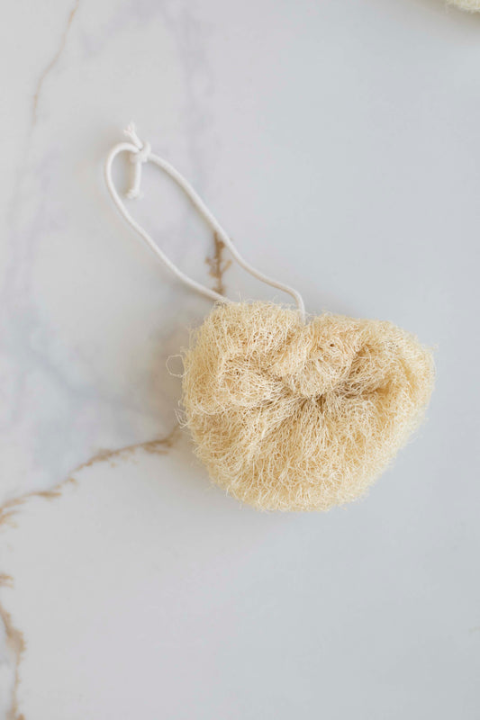 Loofah Sponge