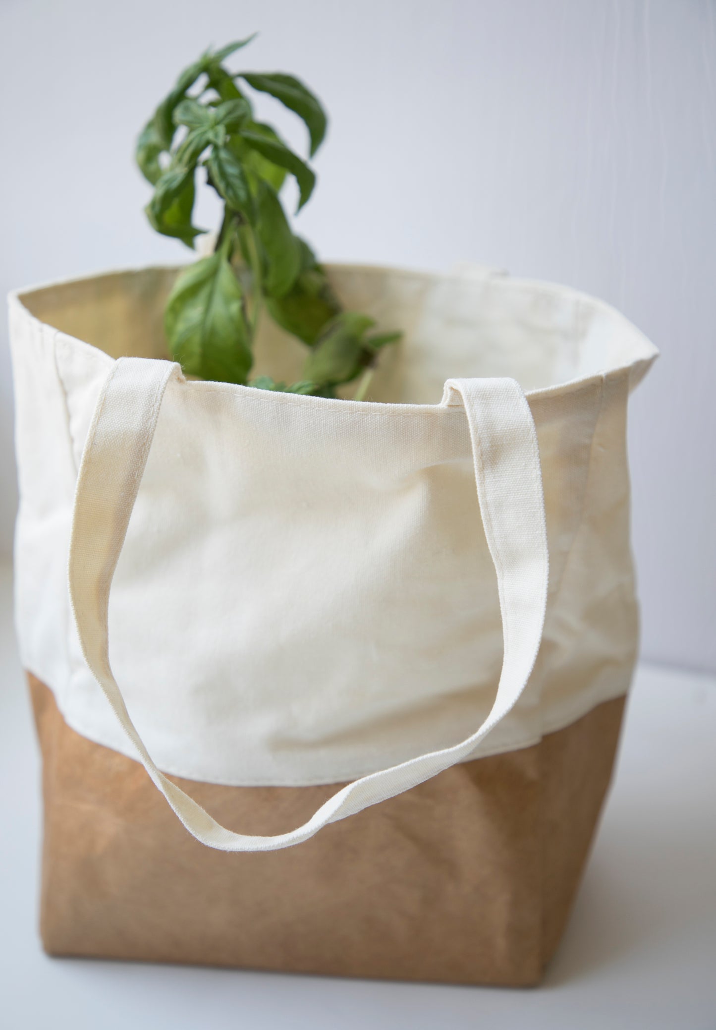 DuPont Paper and Canvas Tote
