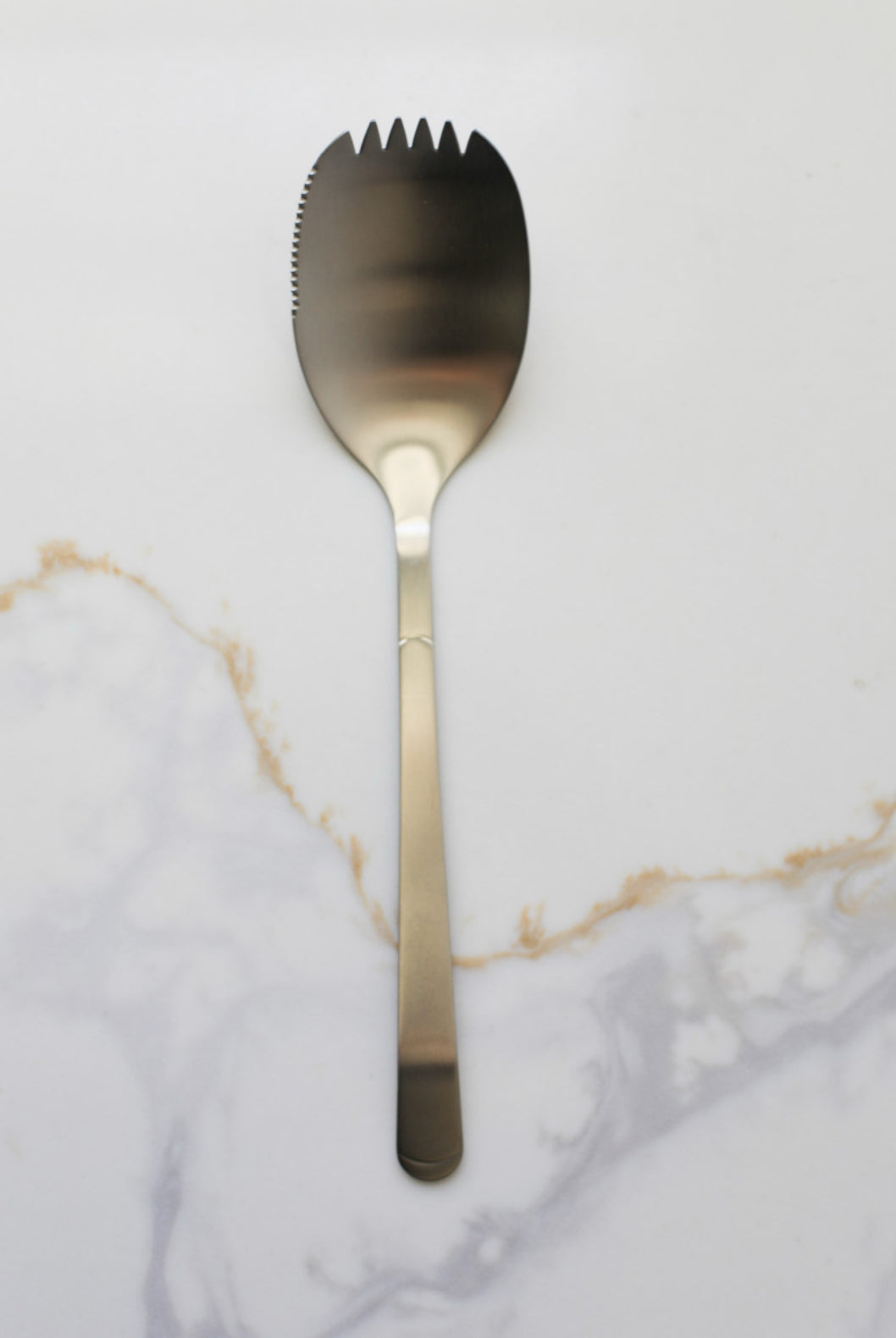 Stainless Steel Serving Spoon