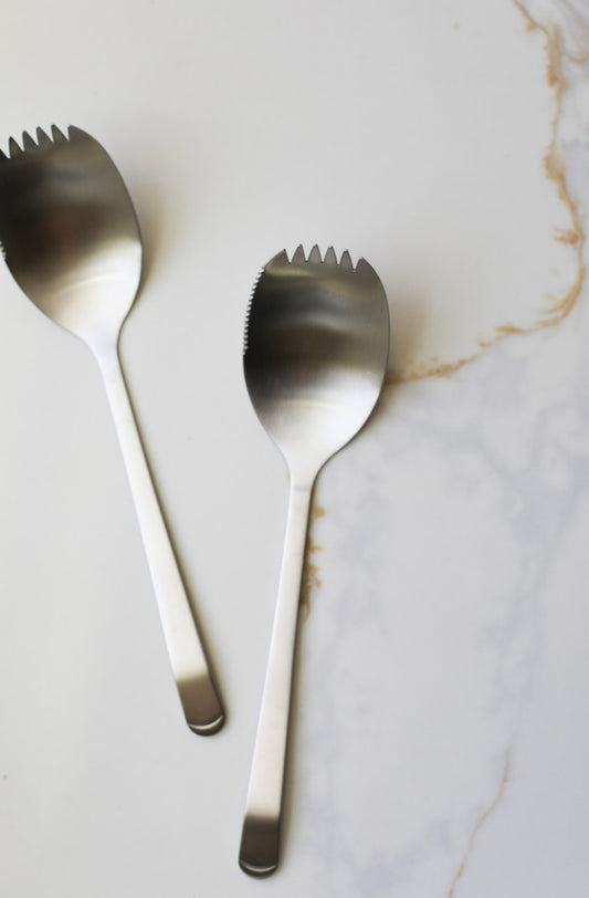 Stainless Steel Serving Spoon