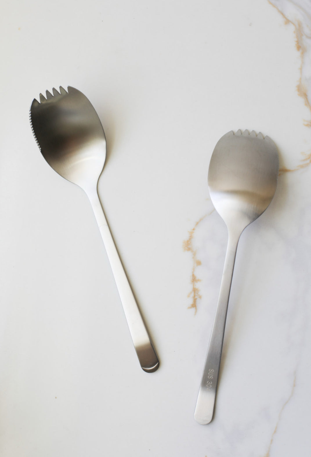 Stainless Steel Serving Spoon