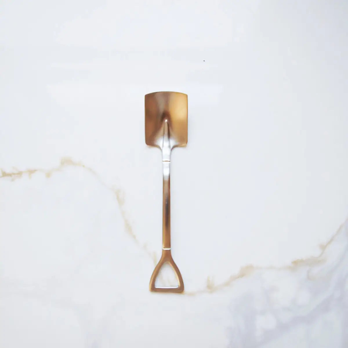 Mini Shovel Shape Spoon