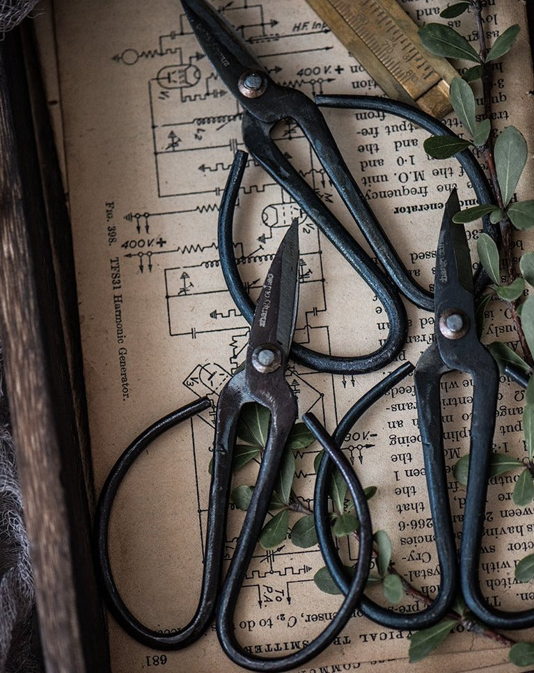 rustic scissors