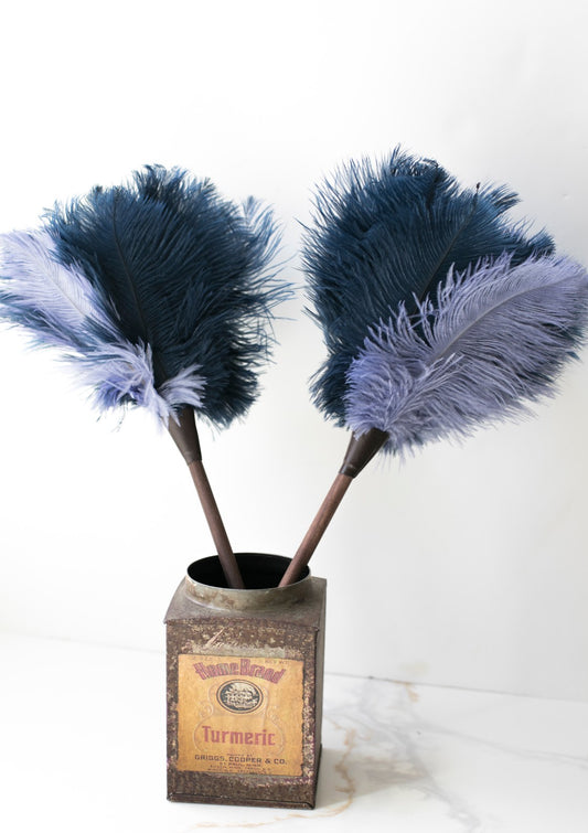 Blue Colored Feather Duster