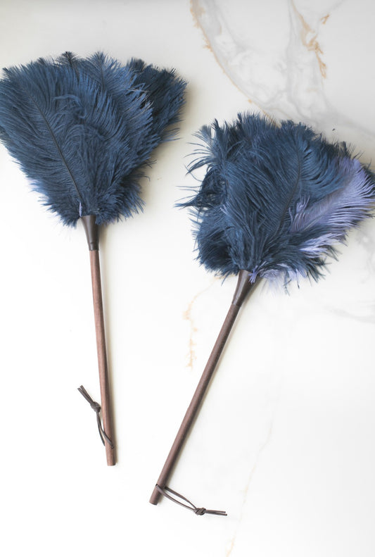 Blue Colored Feather Duster