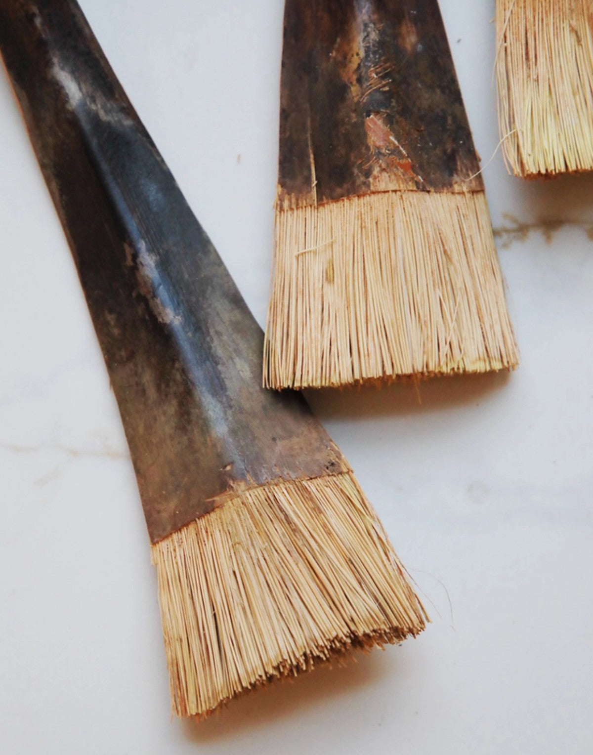 Coconut Palm Brush