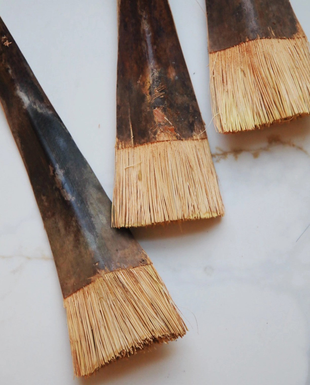Coconut Palm Brush