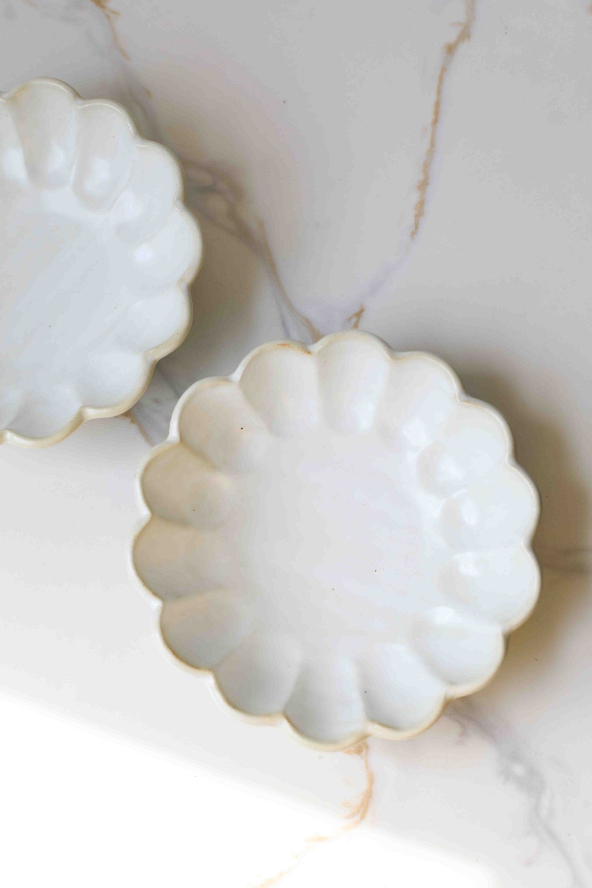 Dinner Plate with Scalloped Rim