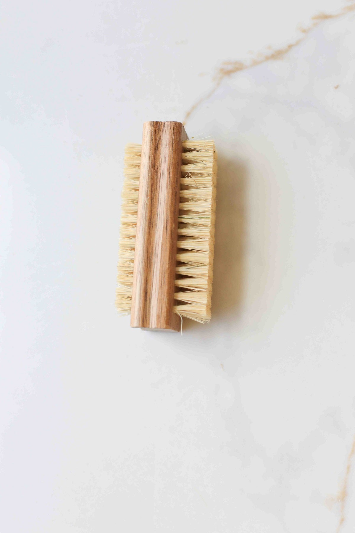 Garden Nail  Brush