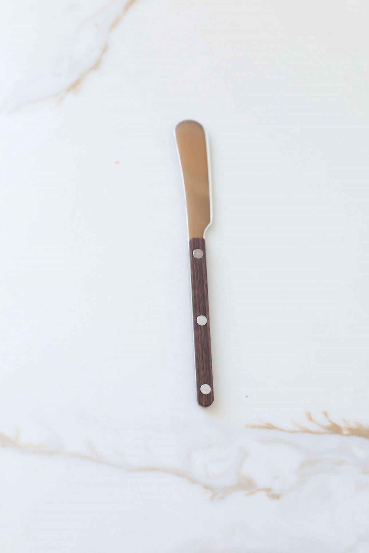 Stainless Steel Butter Spreader with Wood Handle