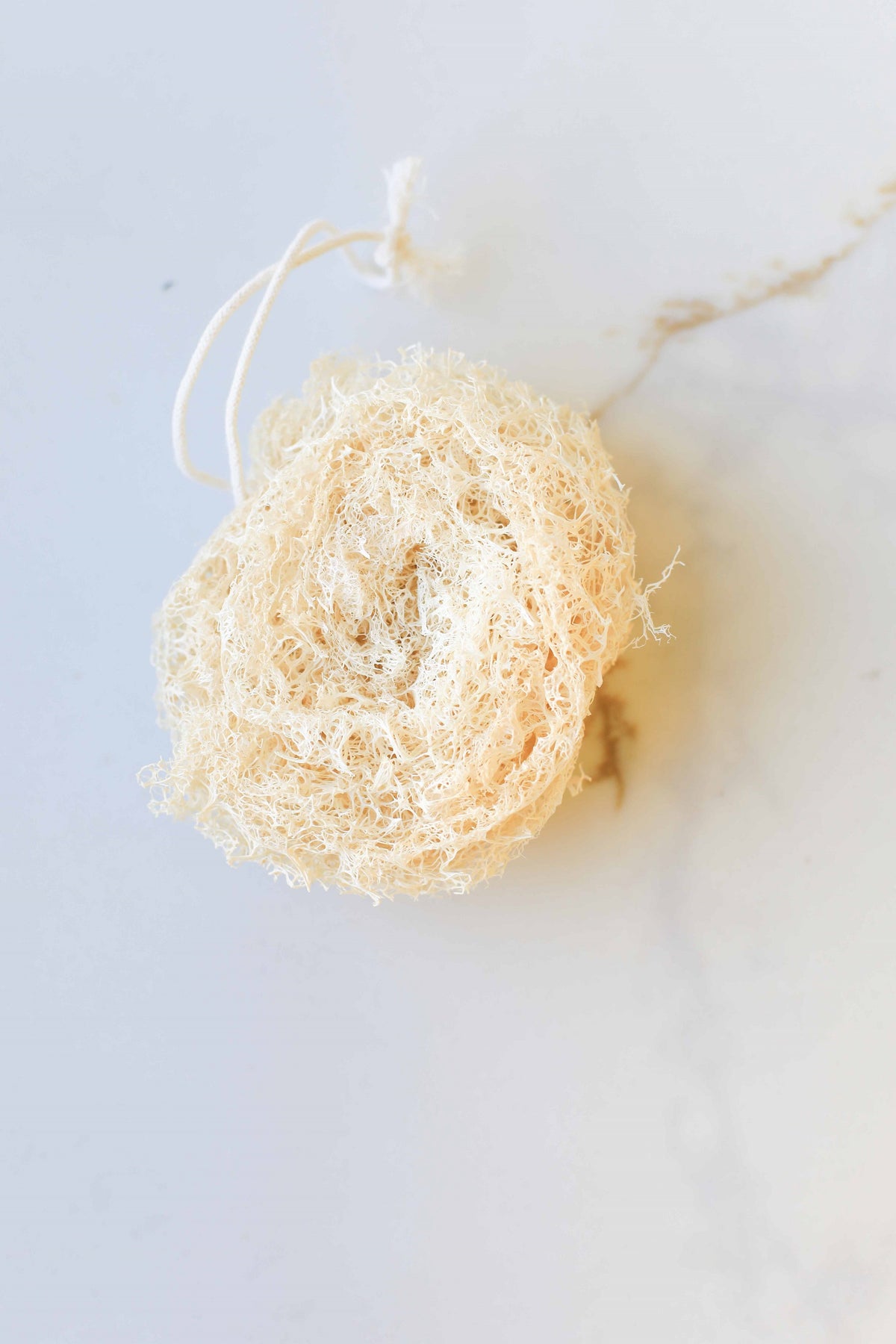 Loofah Sponge