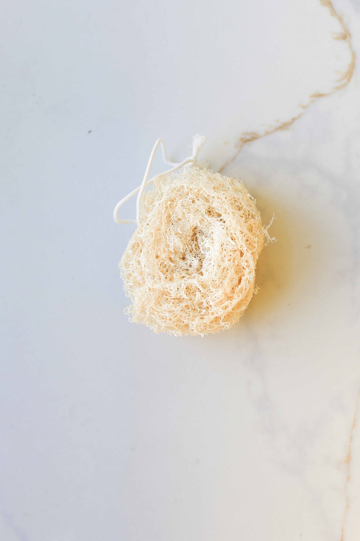 Loofah Sponge