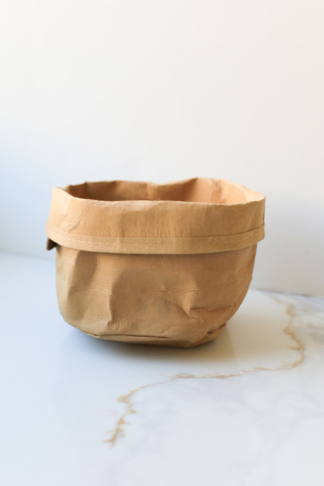 Washable Paper Bag