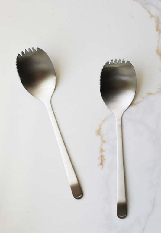 Stainless Steel Serving Spoon