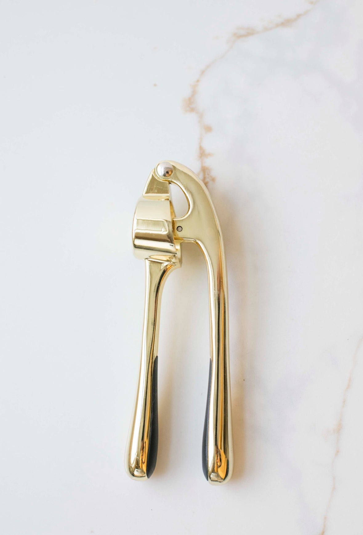 Atelier Black and Gold Garlic Press