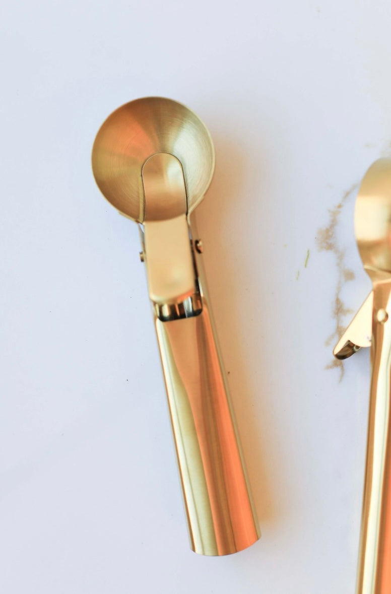 Auric Gold Light Stainless Steel Ice Cream Scoop