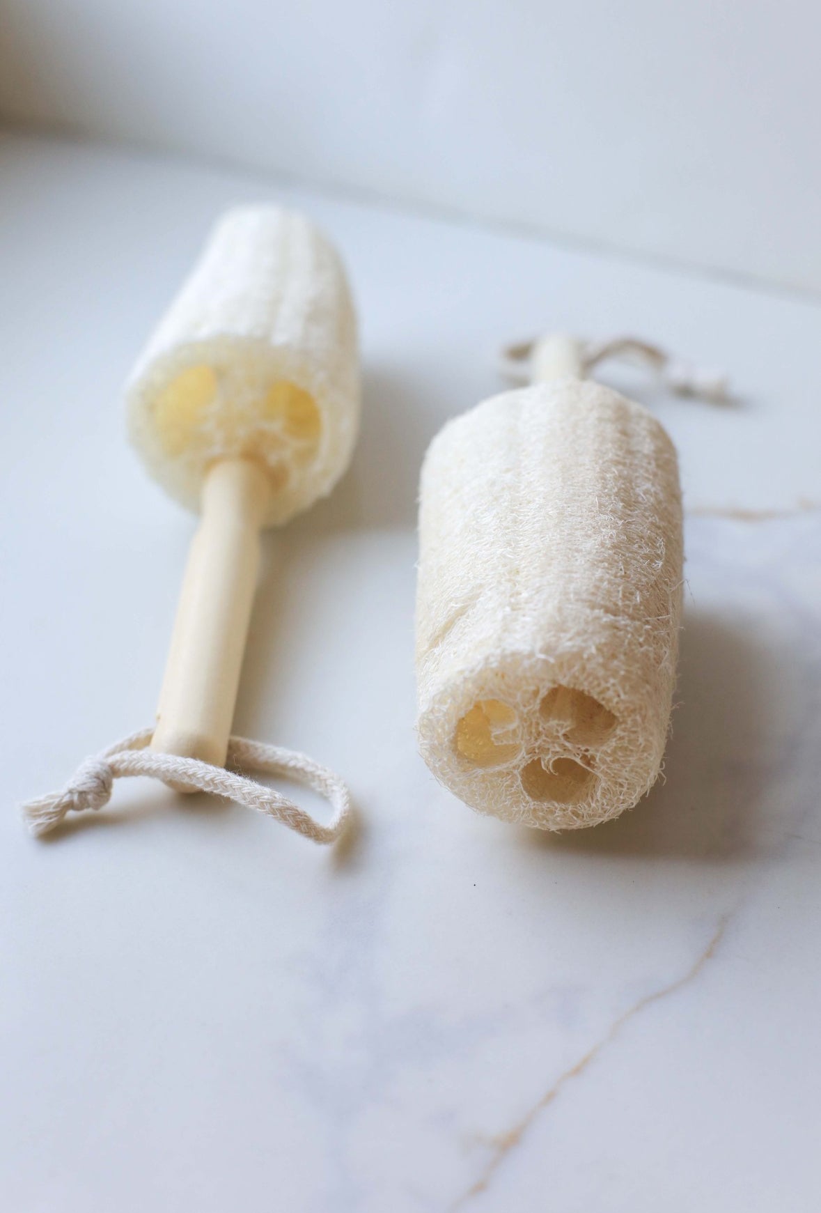 Natural Loofah Cleaning Brush with Wooden Handle