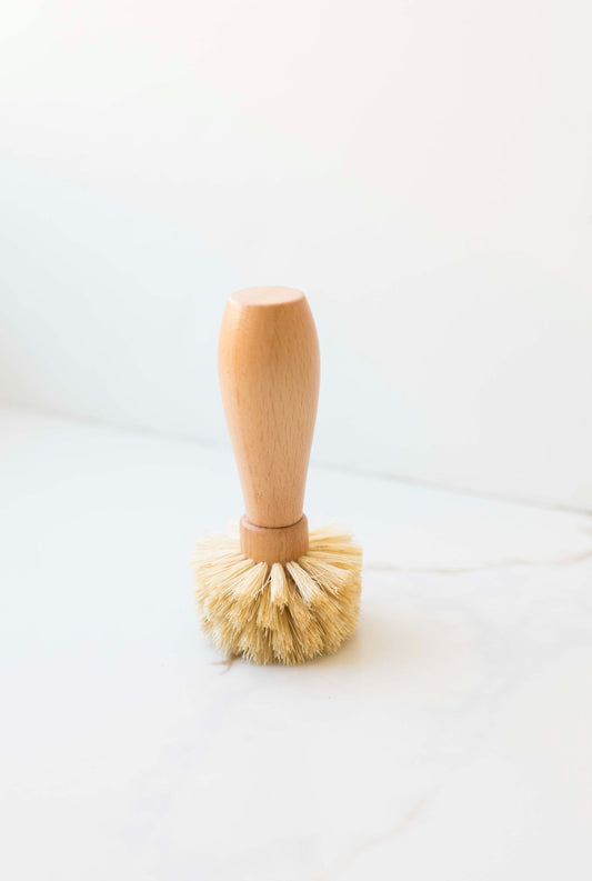 Sisal Long Handle Brush