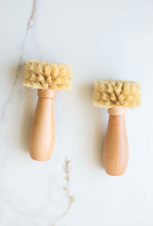 Sisal Long Handle Brush