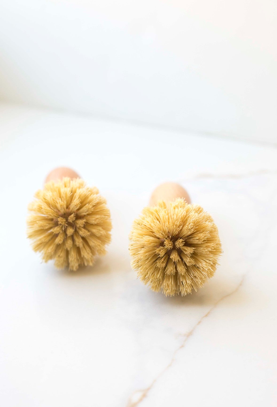 Sisal Long Handle Brush