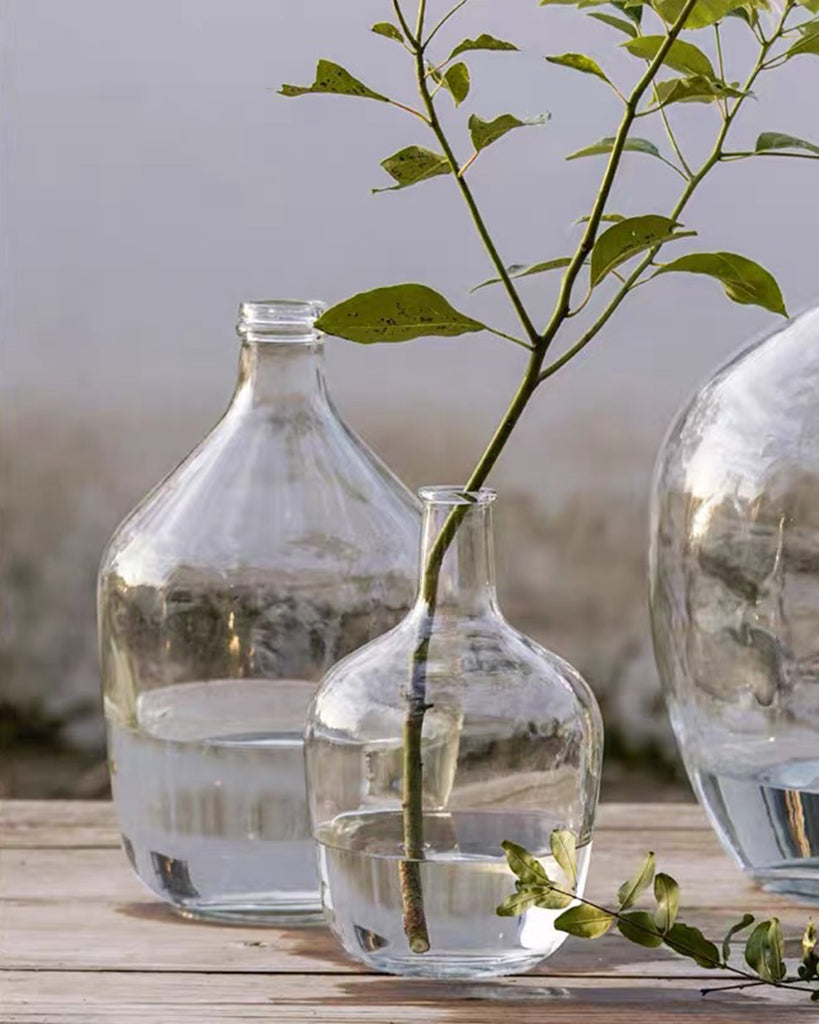 Clear Large Glass Balloon Vase