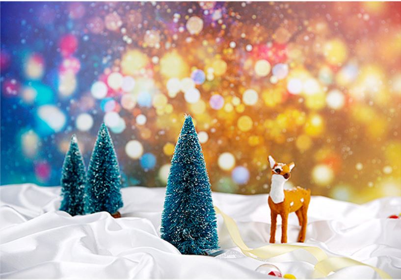 Holiday Styles Photography Double Side Backdrop