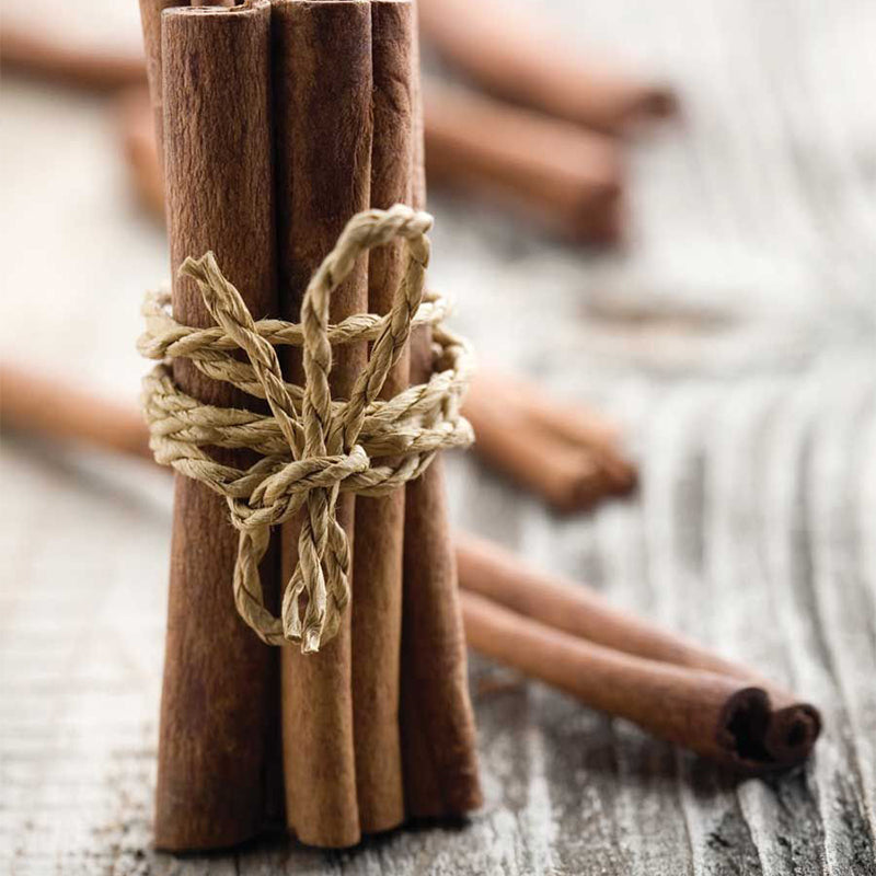 Fake Cinnamon Sticks Food Photography Props
