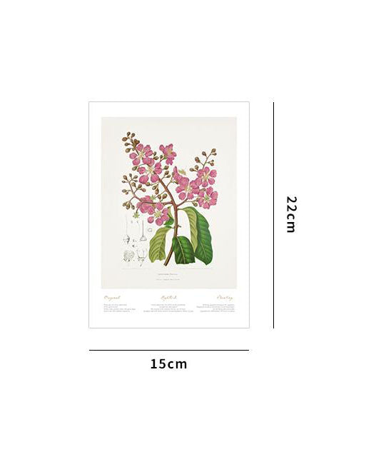 Botanical Prints Wildflower Prints Floral Wall Art (15 pieces)