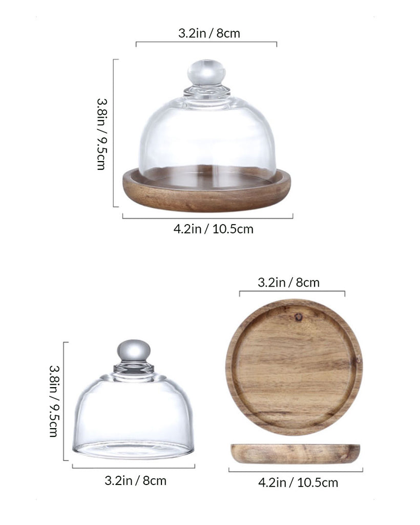 Mini Glass Display Dome Cloche with Wood Base